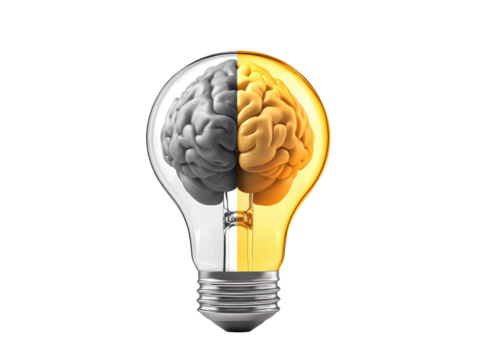 Isolated Light Bulb with Brain Halves