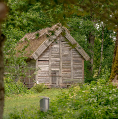 Old store house in a forest.