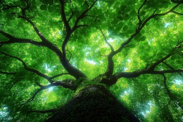 Fototapeta premium Stunning bottom view of rich tropical tree branches, leaves. Sunlight filters through vibrant plants. Healthy, peaceful natural scene. Rich foliage creates shade. Eco-friendly park garden in summer.