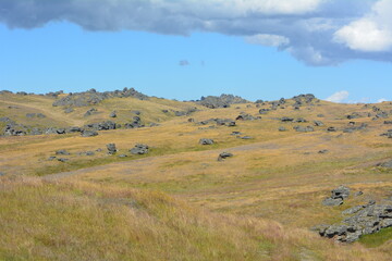 Obraz premium landscape with sky