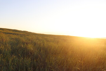 Cape Cod Sunset
