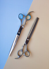 Professional grooming scissors on sand and blue pastel background.Pet grooming concept. Top view.