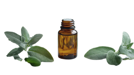 essential oil with herbs isolated on white background