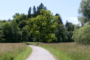 Maisinger Schlucht canyon; Munich Way of St. James, Bavaria, Germany