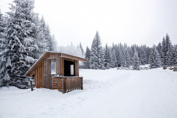 Karkonosze National Park in winter, Poland