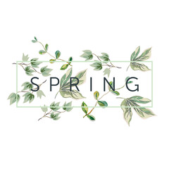 Green leaves, frame, white background. Print for t shirt, poster, with text. Vector illustration. Spring garden nature. Floral arrangement. Design template greeting card