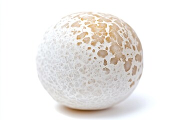 A close-up shot of a white and brown egg, great for use in cookbooks or as an illustration for food-related articles