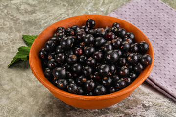 Ripe black currant in the bowl