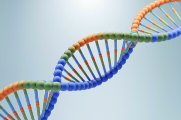 A vibrant 3D model of a DNA double helix, showcasing its structure and genetic code.