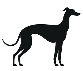 Silhouette of Italian Greyhound, minimalistic black and white, modern pet design