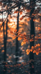 Forest path lined with colorful autumn leaves bokeh
