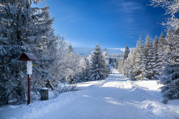 Obraz premium Karkonosze National Park on a clear day in winter, Poland