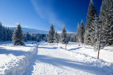 Karkonosze National Park on a clear day in winter, Poland
