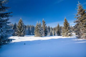 Karkonosze National Park on a clear day in winter, Poland
