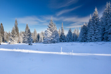 Karkonosze National Park on a clear day in winter, Poland