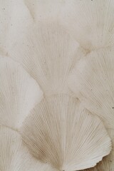 White beige nature leaf texture with delicate layering detail - aesthetic brand graphic website design background for social media content marketing