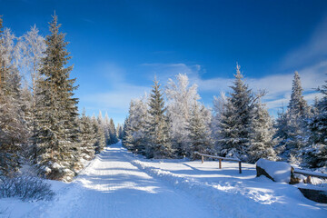 Karkonosze National Park on a clear day in winter, Poland