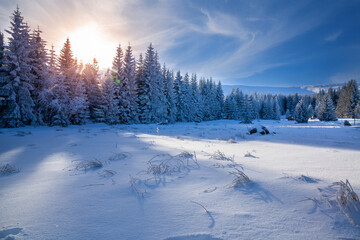 Karkonosze National Park on a clear day in winter, Poland