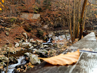 autumn scene with golden and brown foliage on a river with rocks, a bridge and a yellow leaf on the foreground