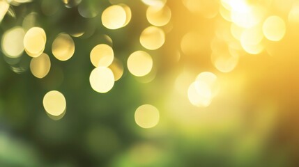 Obraz premium Soft Organic Background with Blurred Light Effects