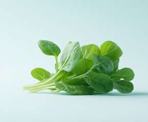 Obraz premium Fresh Green Spinach Leaves on Minimal White Background for Culinary and Organic Design 15