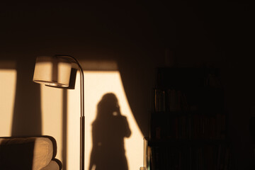 Shadow of a woman on a wall with warm sunlight and a floor lamp nearby.