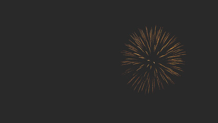 Colourful fireworks sharp in the black dark skies celebration holidays