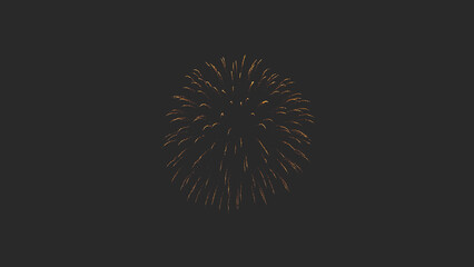 Colourful fireworks sharp in the black dark skies celebration holidays
