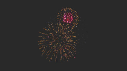 Colourful fireworks sharp in the black dark skies celebration holidays