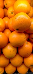 oranges at the market