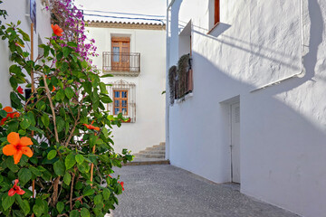 Fototapeta premium Narrow street with whitewashed houses in Altea old town. Architecture in small picturesque Altea town near Mediterranean sea, Alicante province, Valencia Community, Spain
