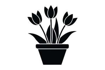 Set of Tulip Flower Vector Silhouette, Tulip Flower on the Pot Vector Illustration Design and Decoration