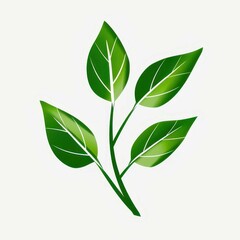 Fototapeta premium Ecofriendly leaf icon, a symbol of natures beauty and sustainability. Perfect for greenthemed designs and ecology projects.