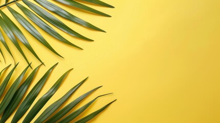 Fototapeta premium Vibrant green palm leaves contrast beautifully with a sunny yellow backdrop, creating a fresh summer vibe.