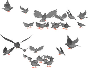 vector illustration design image of a collection of doves flying in the sky looking for food