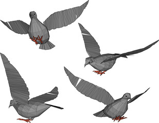 vector illustration design image of a dove flying in the sky q