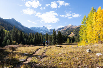 Hikers walking through the prairie portion of Capitol Ditch Trail near Aspen, Colorado on a crisp autumn day with Rocky Mountains in backgound on a sunny day.