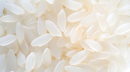 Raw rice grains scattered on a white background, highlighting clean, fresh appearance and texture. Ideal for clean food blogs and ingredient showcases.