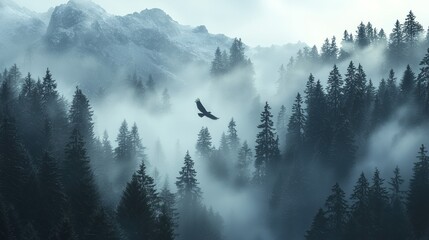 Eagle soaring over misty, snowy mountain forest.