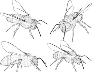 Vector sketch illustration of a bee insect animal design silhouette with a pair of wings © nur
