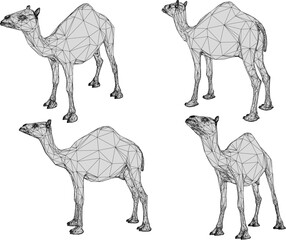 vector sketch illustration of desert animal desert came