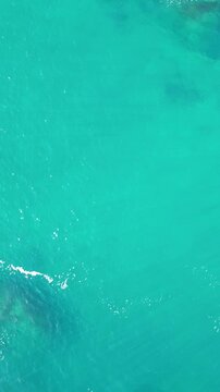 Aerial Video of Ocean and beach
