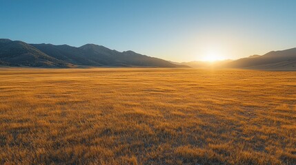 Fototapeta premium Golden sunset over vast prairie with mountains.