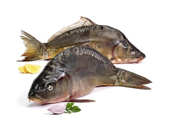 Karpie na białym tle z cytryną i cebulą © Jolaya