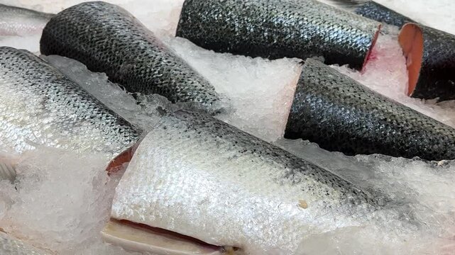 Raw steaks of fresh trout lie on shallow ice at the seafood market. An open shelf at the fish market. Close-up.