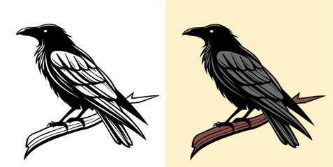 Illustration of a Black Raven Perched on a Tree Branch in Two Color Styles