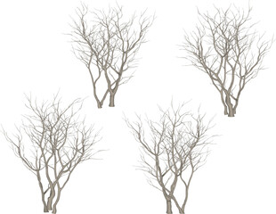 Obraz premium Vector sketch illustration silhouette design of tree plant full of branches without leaves