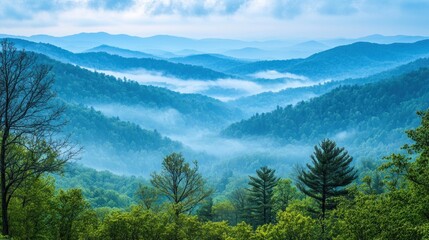 Obraz premium Misty blue ridge mountains at sunrise.