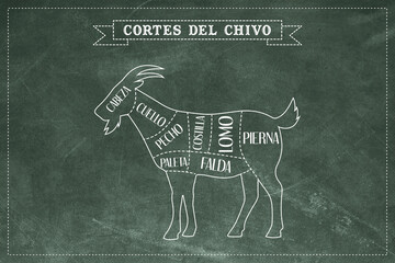 Conjunto de cortes del Chivo. Diagrama de carnicero, esquema - Chivo.