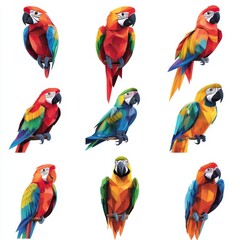 Obraz premium Vibrant Macaw Collection: A set of twelve vibrant, geometric macaws in various colors and poses. Perfect for adding a tropical flair to your designs.